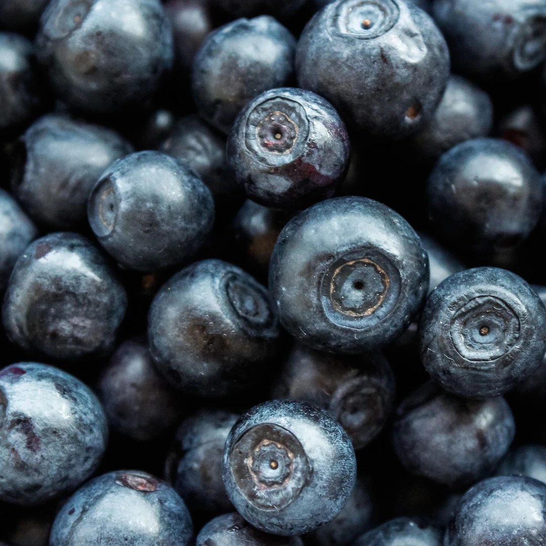 蓝莓：4盒装优选蓝莓果19-20mm
