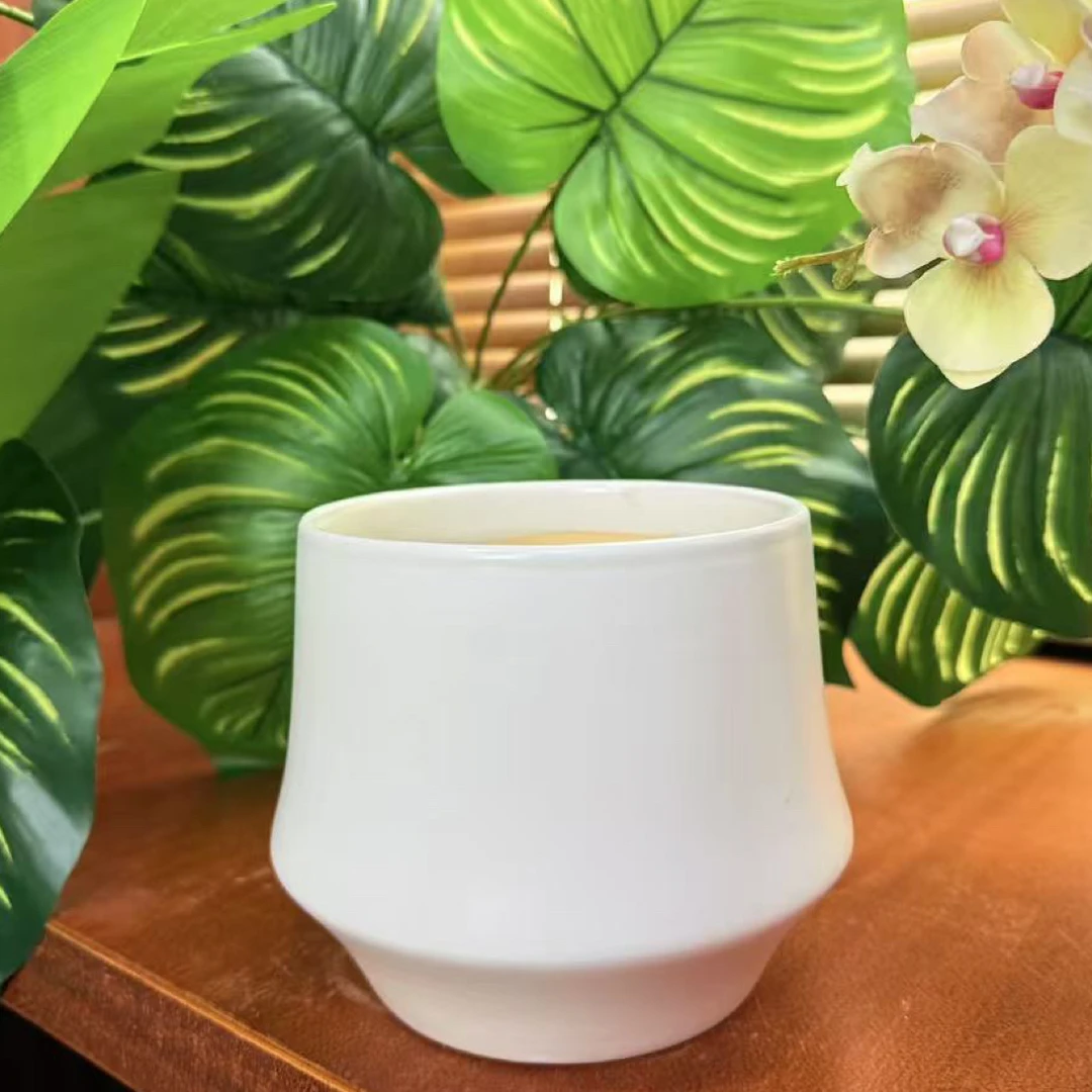 北欧简约风格花盆适合蝴蝶兰君子兰等多种绿植室内外通用