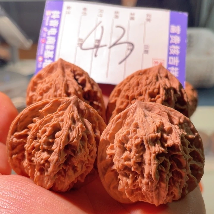43霞云岭44盘龙纹全品