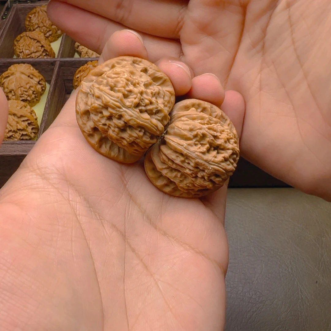 把件文玩核桃白狮子