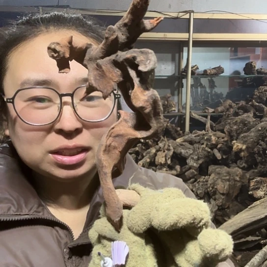 香榧木长**业火琉璃的故事毛料摆件