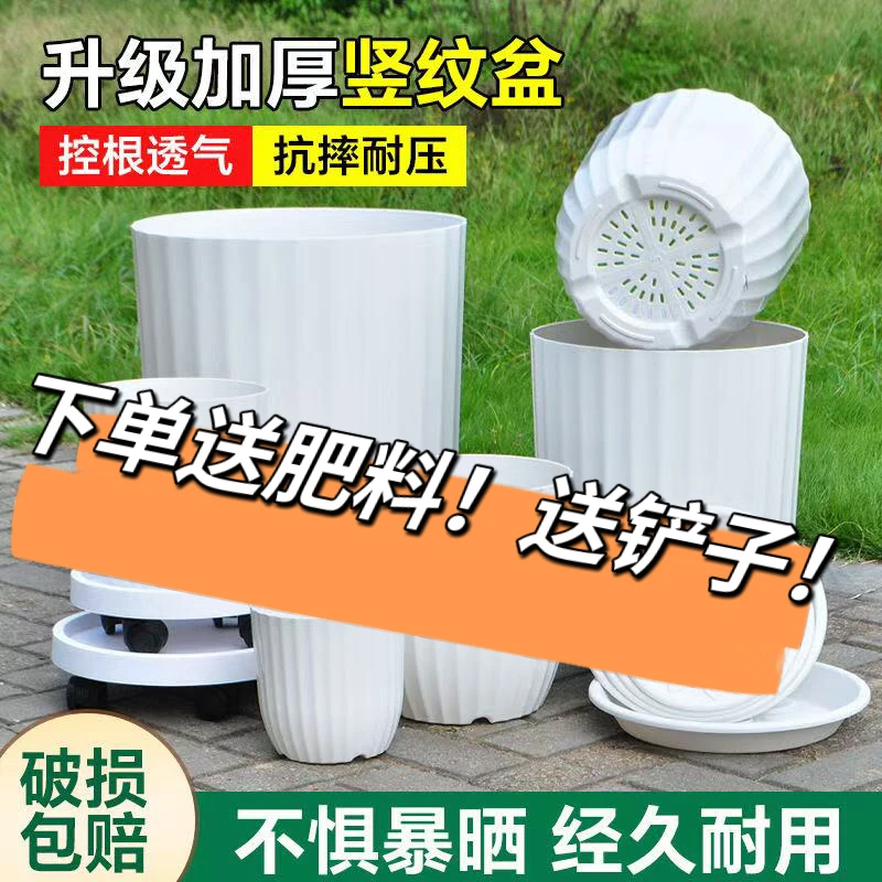 现代家用大号室内客厅耐用简约树脂加厚天堂鸟大口径超透气花盆