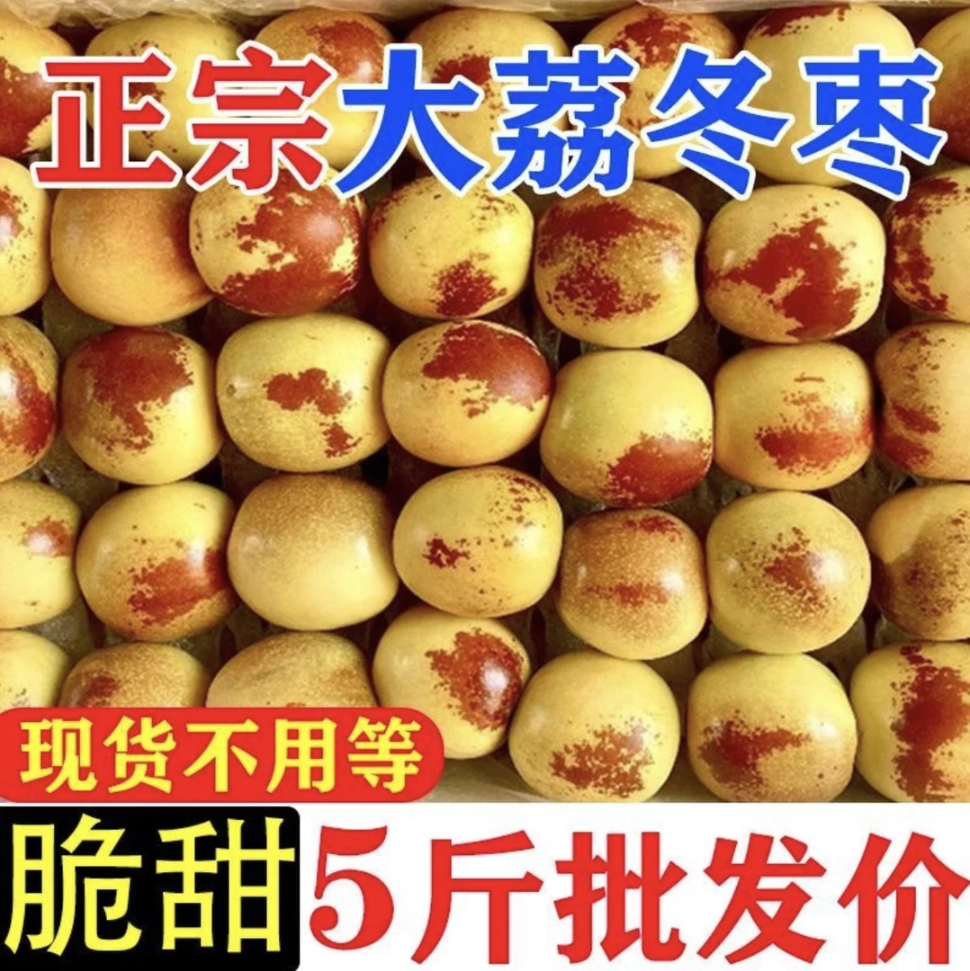 5斤装带箱大荔陕西现摘冬枣可以蒸着吃的冬枣泡沫箱+纸箱+冬枣