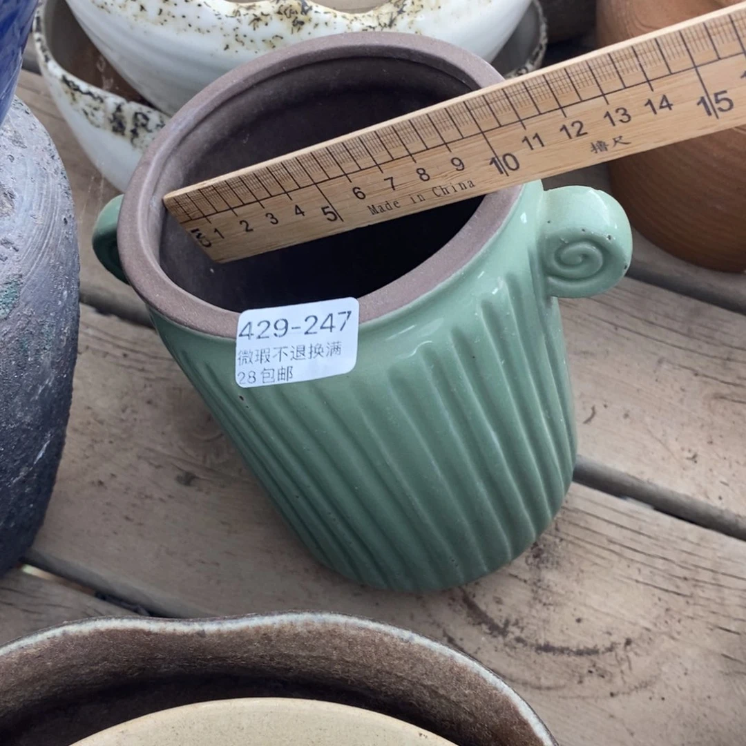 247号多肉盆一个呀