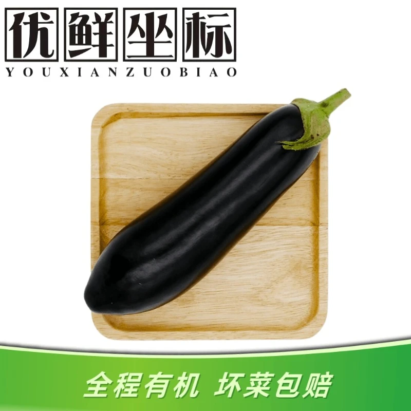 优鲜坐标【有机认证紫皮长茄】云南元谋有机茄子  露天种植 烧烤茄