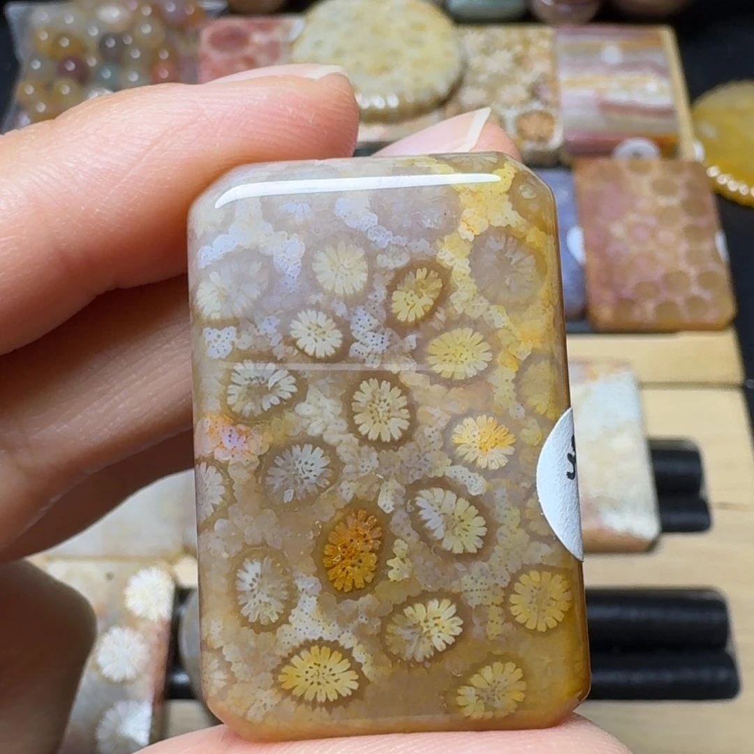 硅化玉果冻未镶嵌