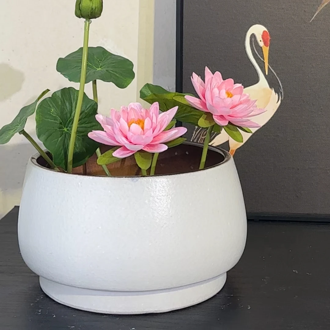 直播间福利碗莲专用水培花盆碗莲陶瓷无孔花盆铜钱碗莲水培盆