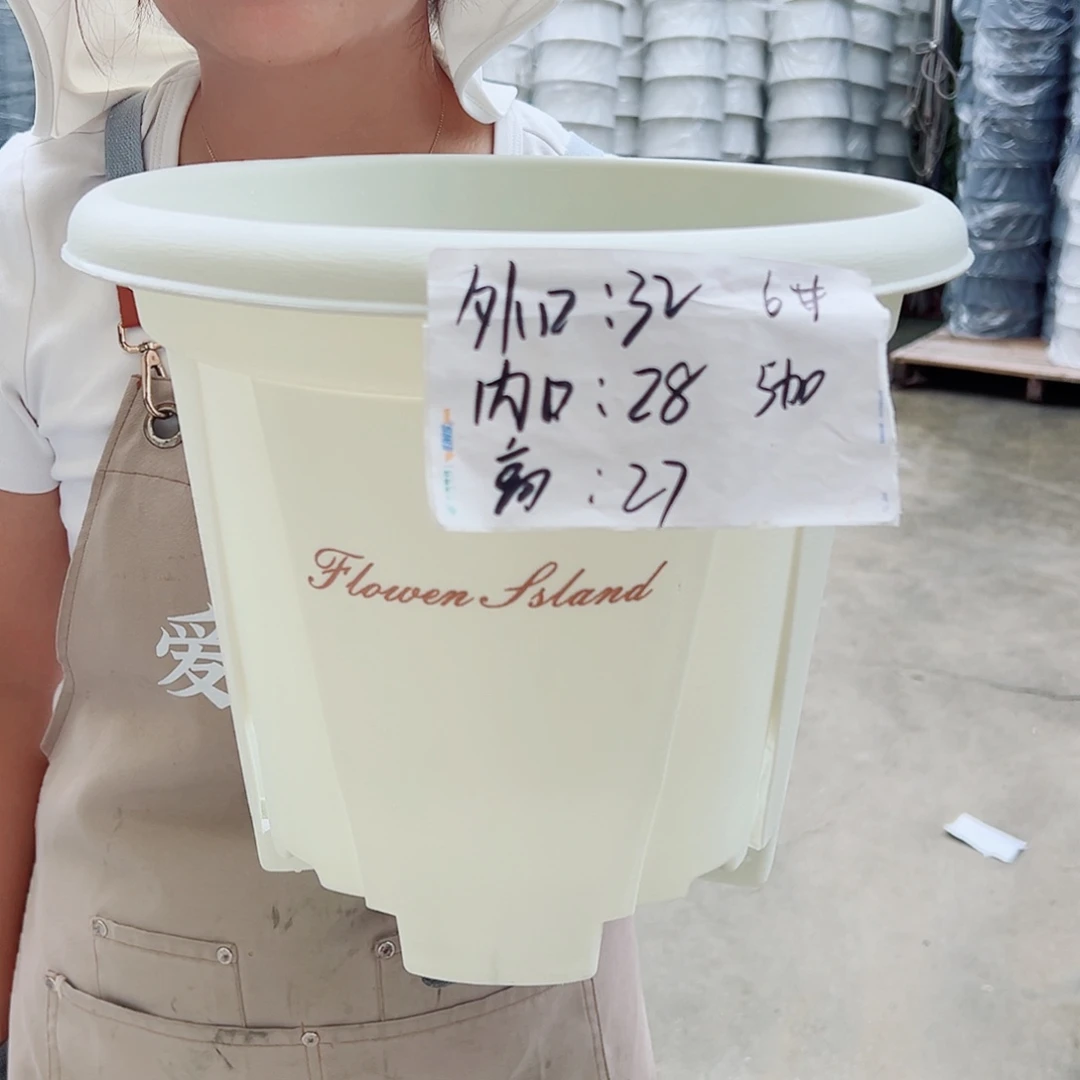 青山盆6#米白色50个无托