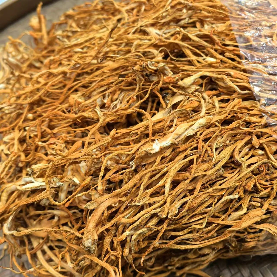 虫草花 煲汤蒸肉 原色货