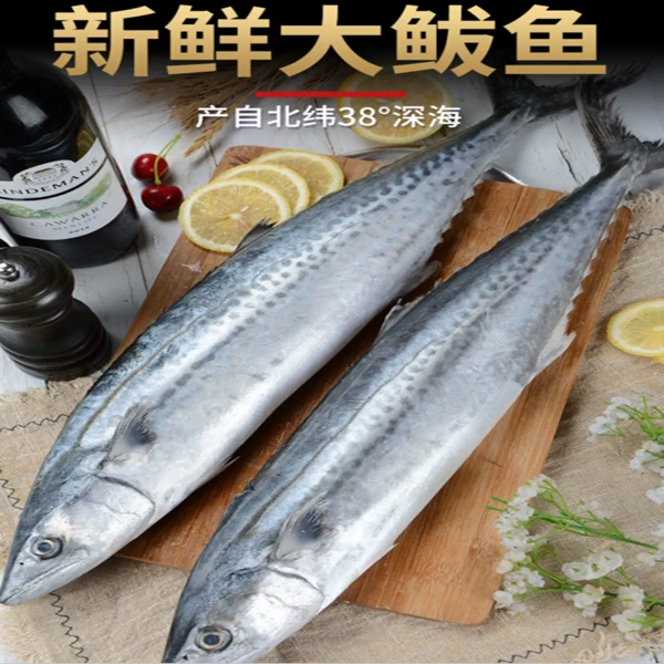 渤海湾深海捕捞鲜活冷冻整条大鲅鱼包邮