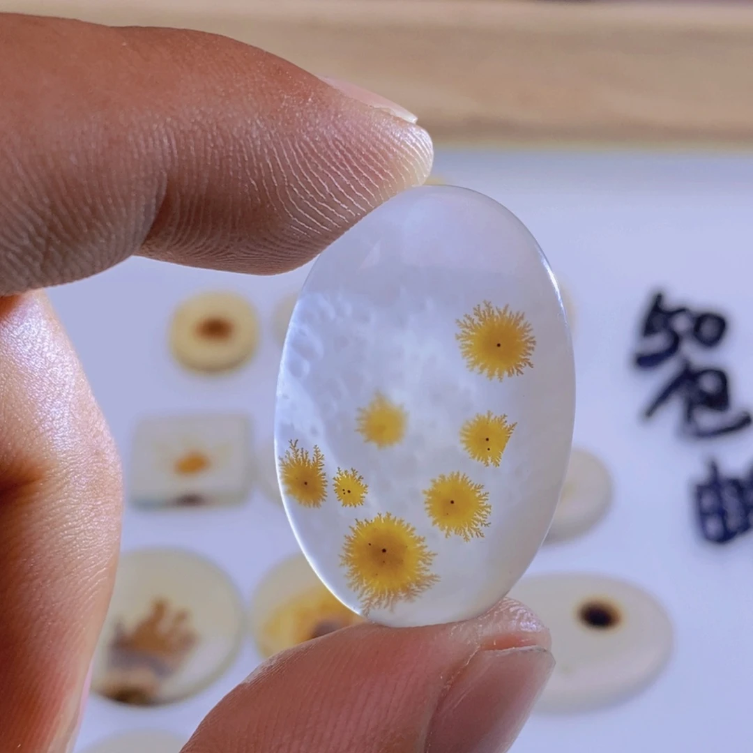 玛瑙/玉髓颈饰未镶嵌如*