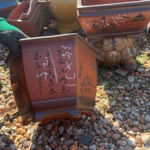 紫砂花盆紫砂花盆盆景盆栽
