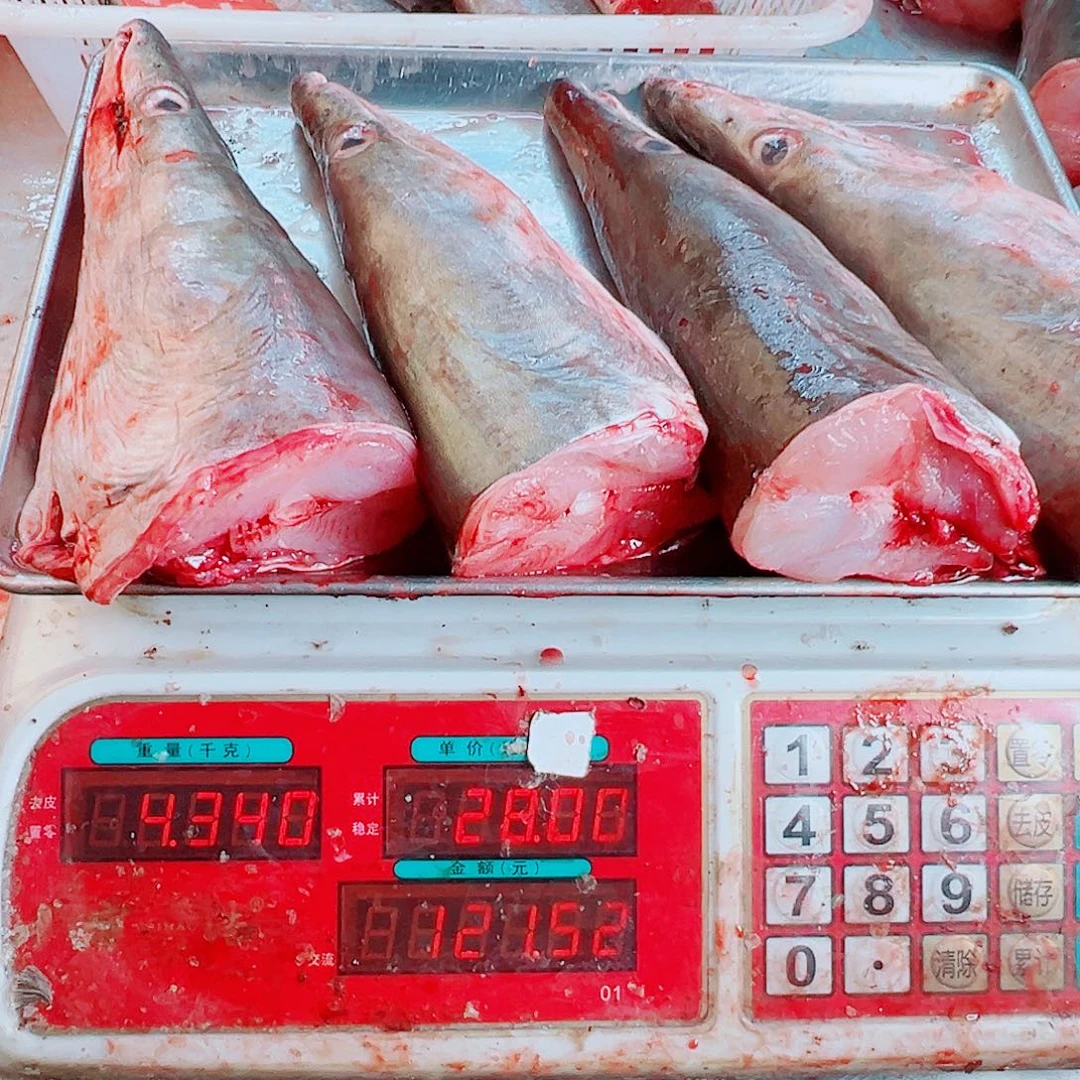 中国大陆四个鳗鱼头