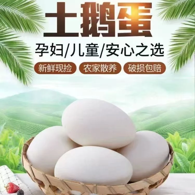 农家散养新鲜土鹅蛋现捡现发健康营养