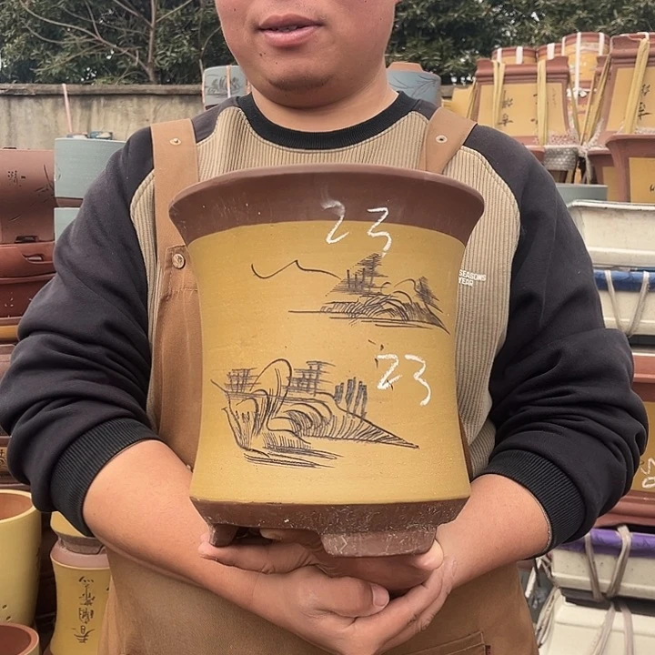 紫砂紫砂花盆盆栽