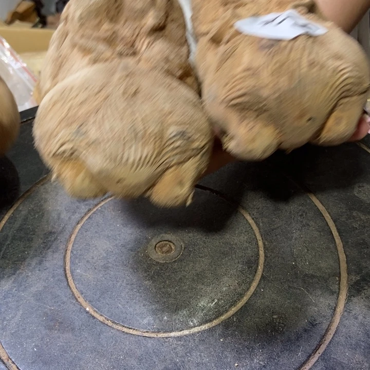 开***！木开播微瑕福利放漏