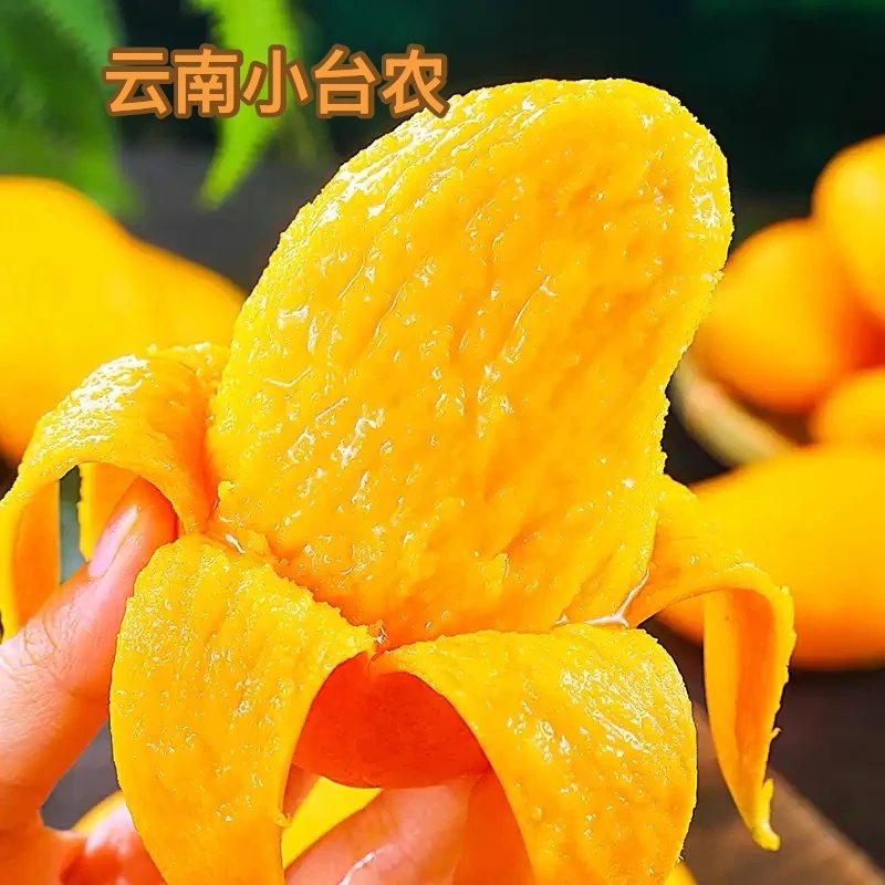 B2云南小台芒新鲜芒果云南特产热带水果现摘直发香甜（优选大果）