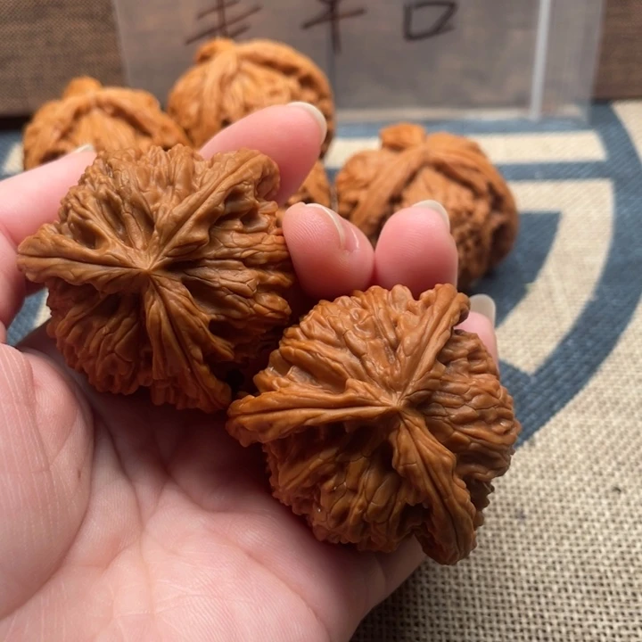 左***角核桃白狮子核桃43