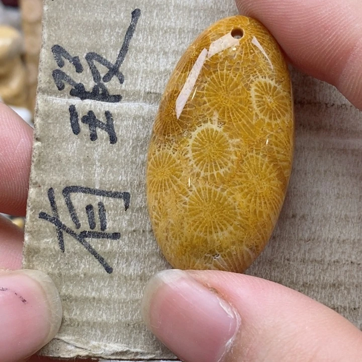 颈饰未镶嵌硅化珊瑚（珊瑚玉）中****3