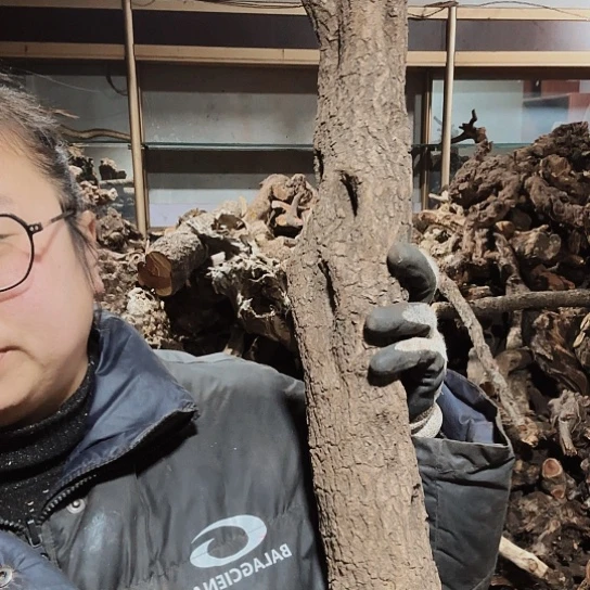 香榧木用****3火琉璃的毛料摆件