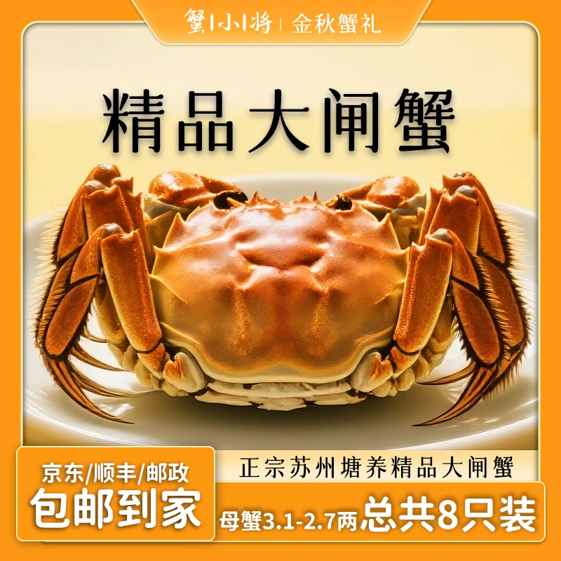 【活蟹现发】苏州精品大闸蟹 全母蟹3.1-2.7两 拍6送2 到手共8只