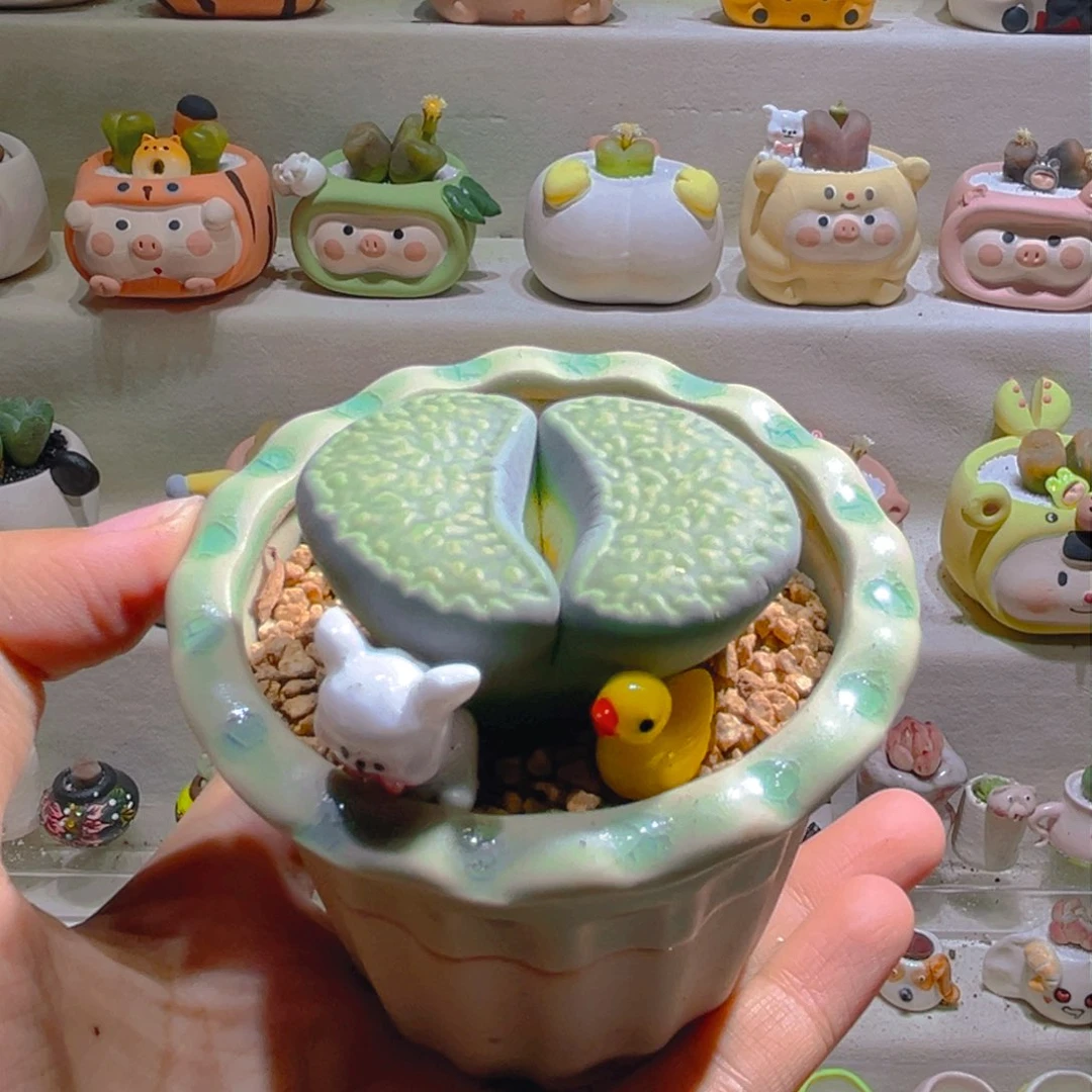 安***妮安小妮专属链接拍拍