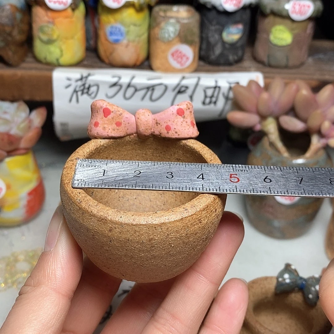 红陶拍5送一个小