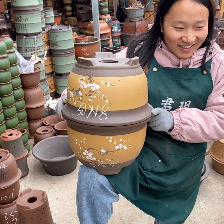 紫砂花盆盆栽花卉苗木种植