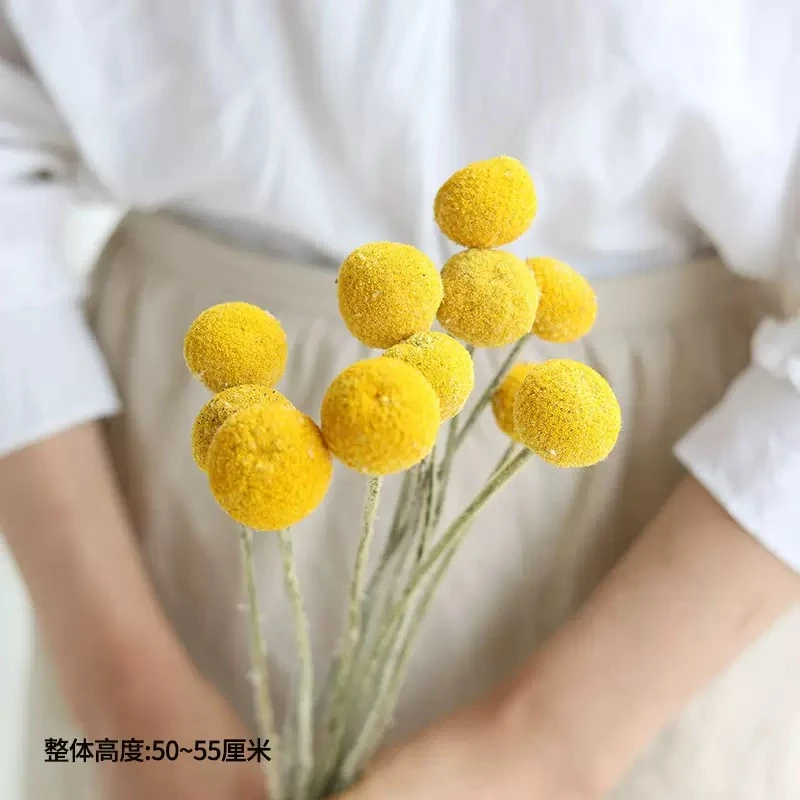 黄金球 永生花干花 常州鲜花批发 江浙沪皖次日达