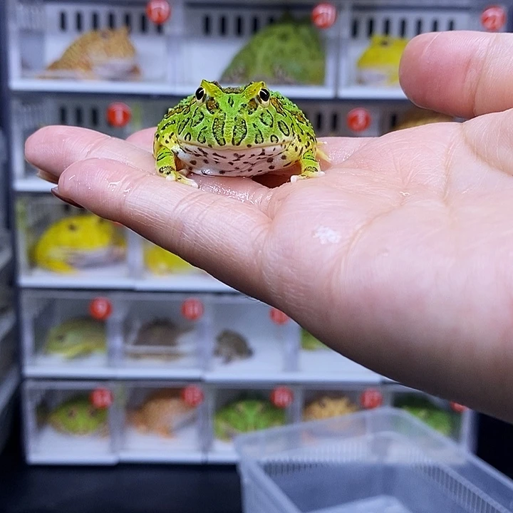 特价秒杀一切顺利瑕疵