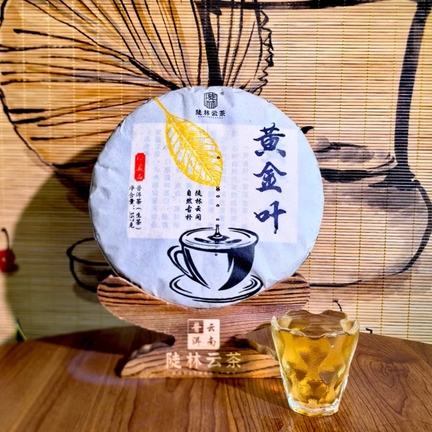 2025年 布朗山黄金叶生普饼357 g自饮口粮茶 优选赠礼盒