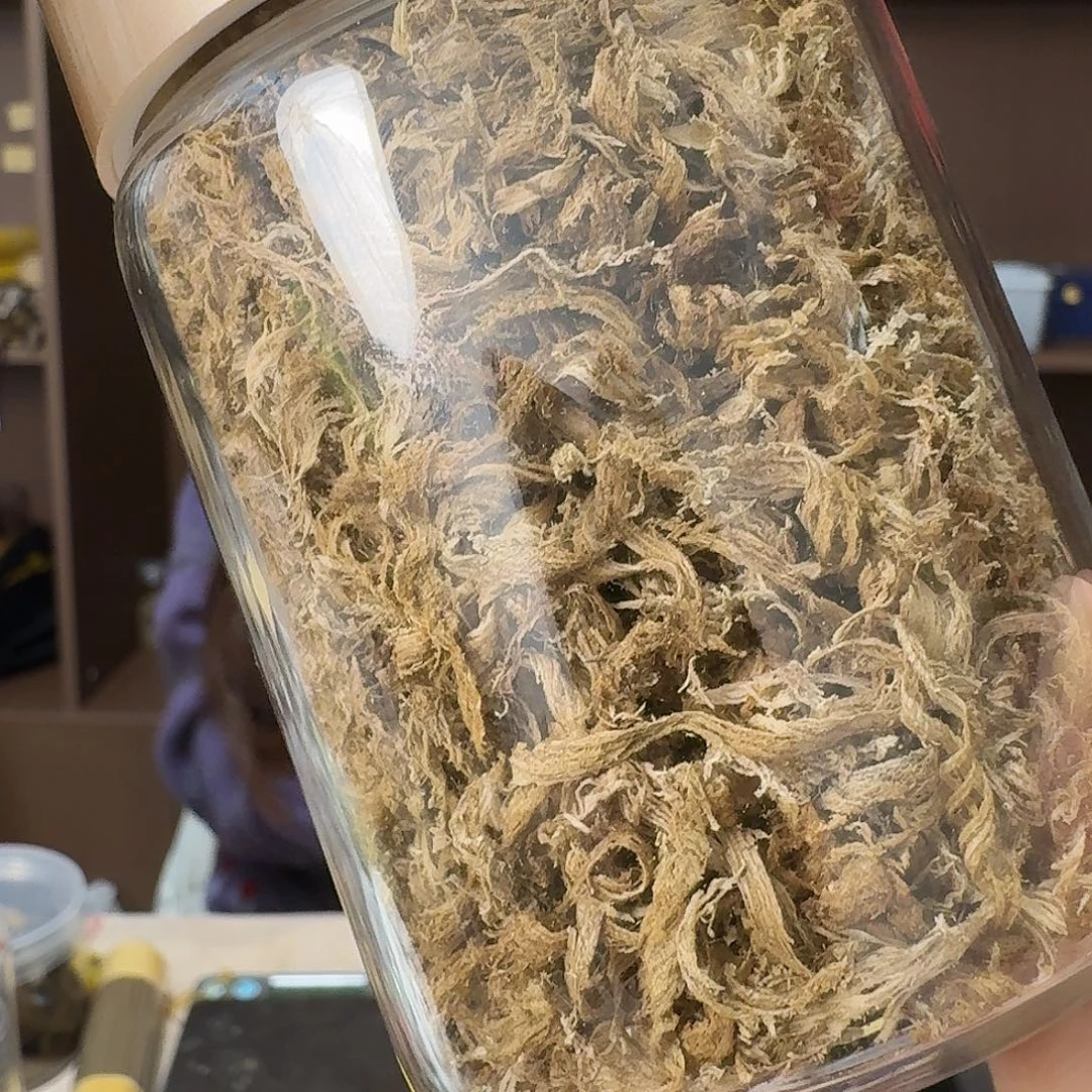 沉香沉香碎屑海南树心油勾丝料50克