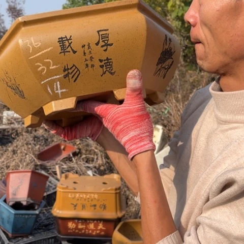 花盆紫砂特价包邮送盒