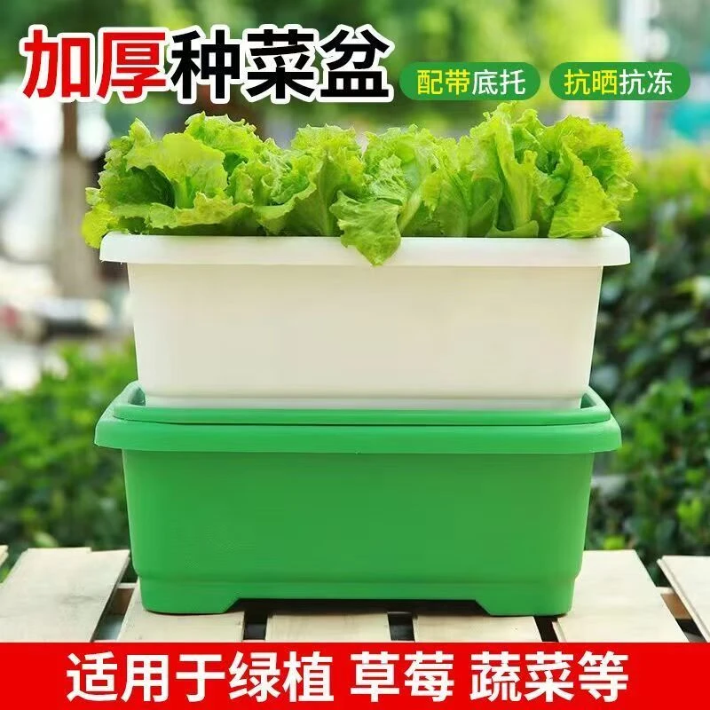 交个朋友优选 种菜盆塑料阳台长方形塑料家庭蔬菜种植盆种菜神器