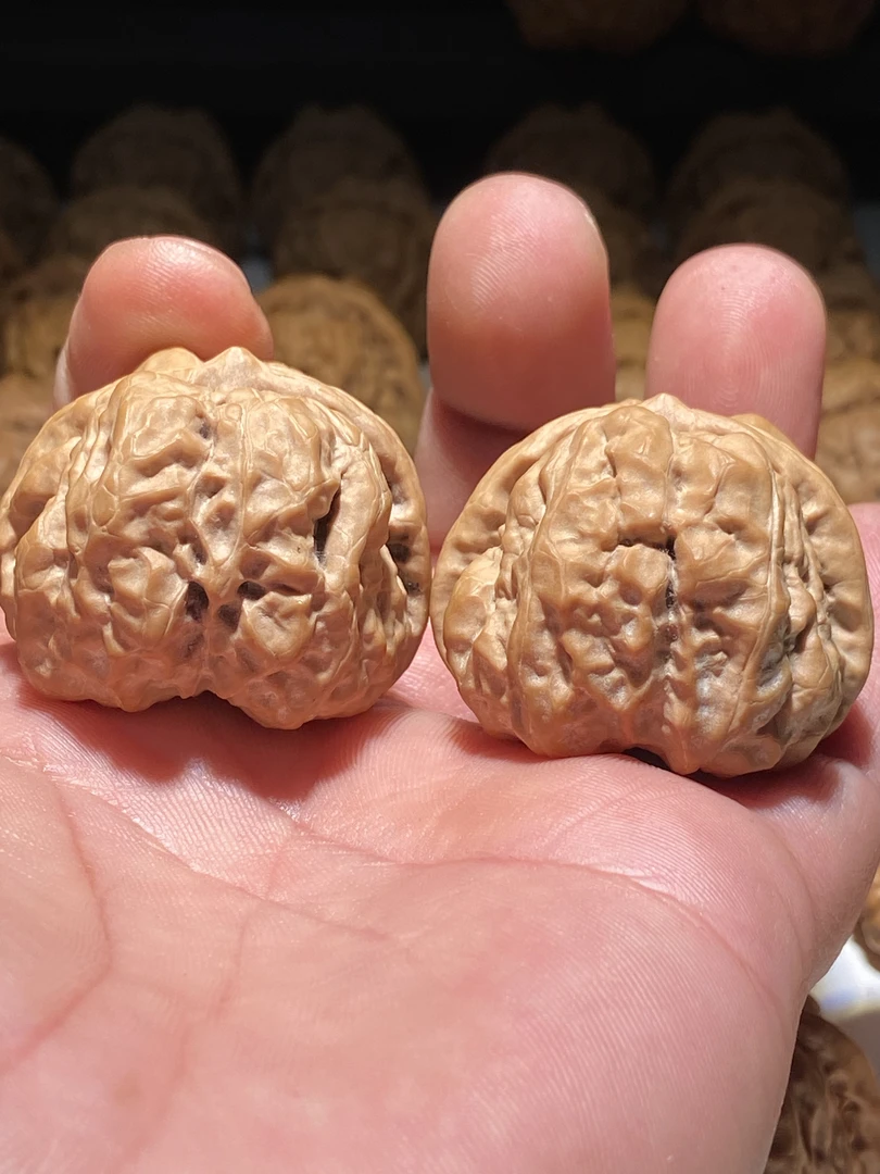 延庆一代红皮蛤蟆头金蟾一对卡边38-39尺寸