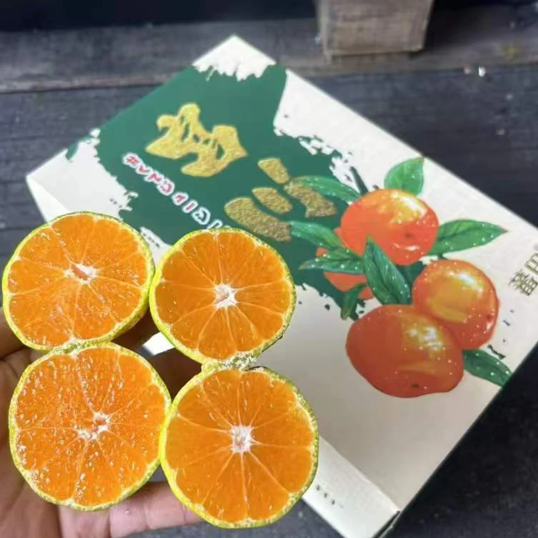 冰激凌蜜橘