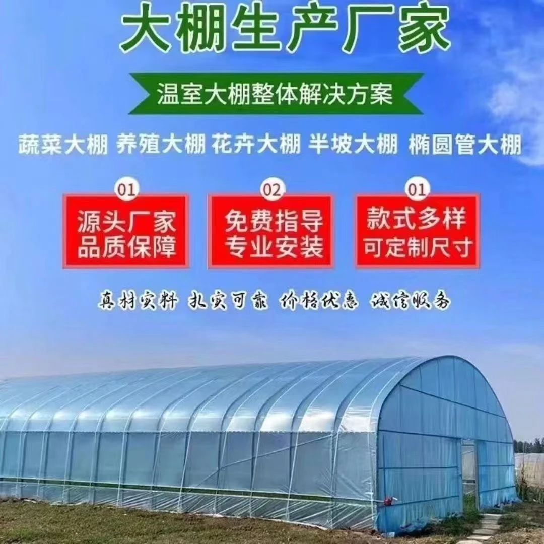 蔬菜大棚全套养殖保温椭圆管种植农业大棚养鸡鸭棚猪牛羊圈舍定制