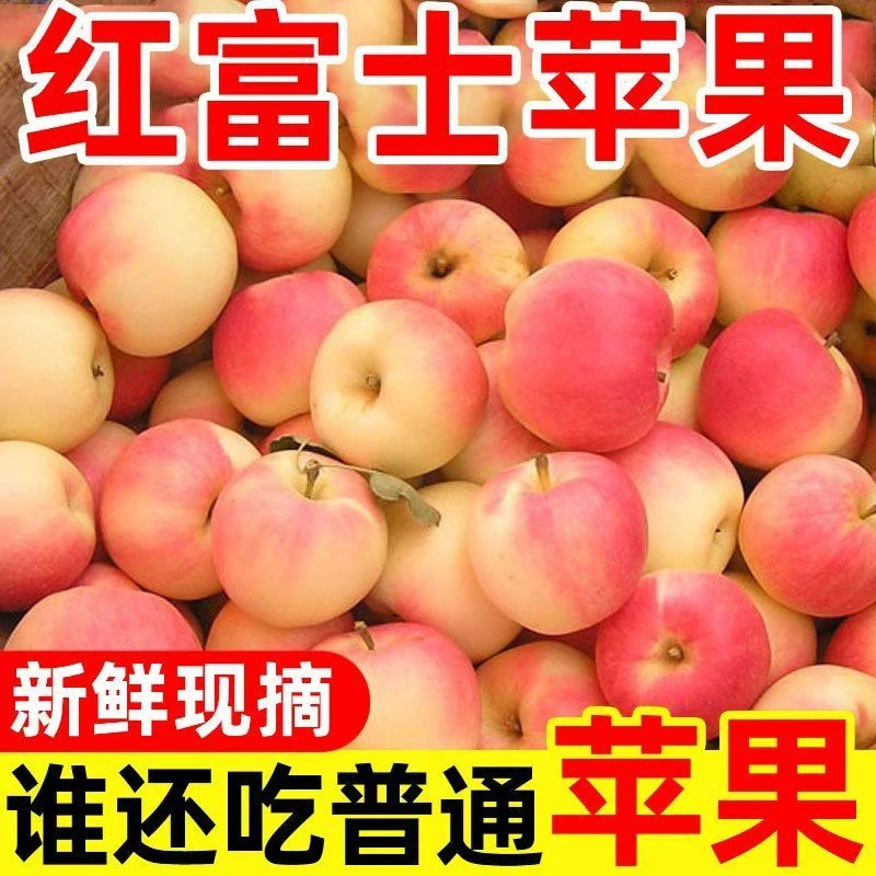 陕西正宗高山红富士苹果当季现摘现发脆甜多汁产地直发新鲜包邮