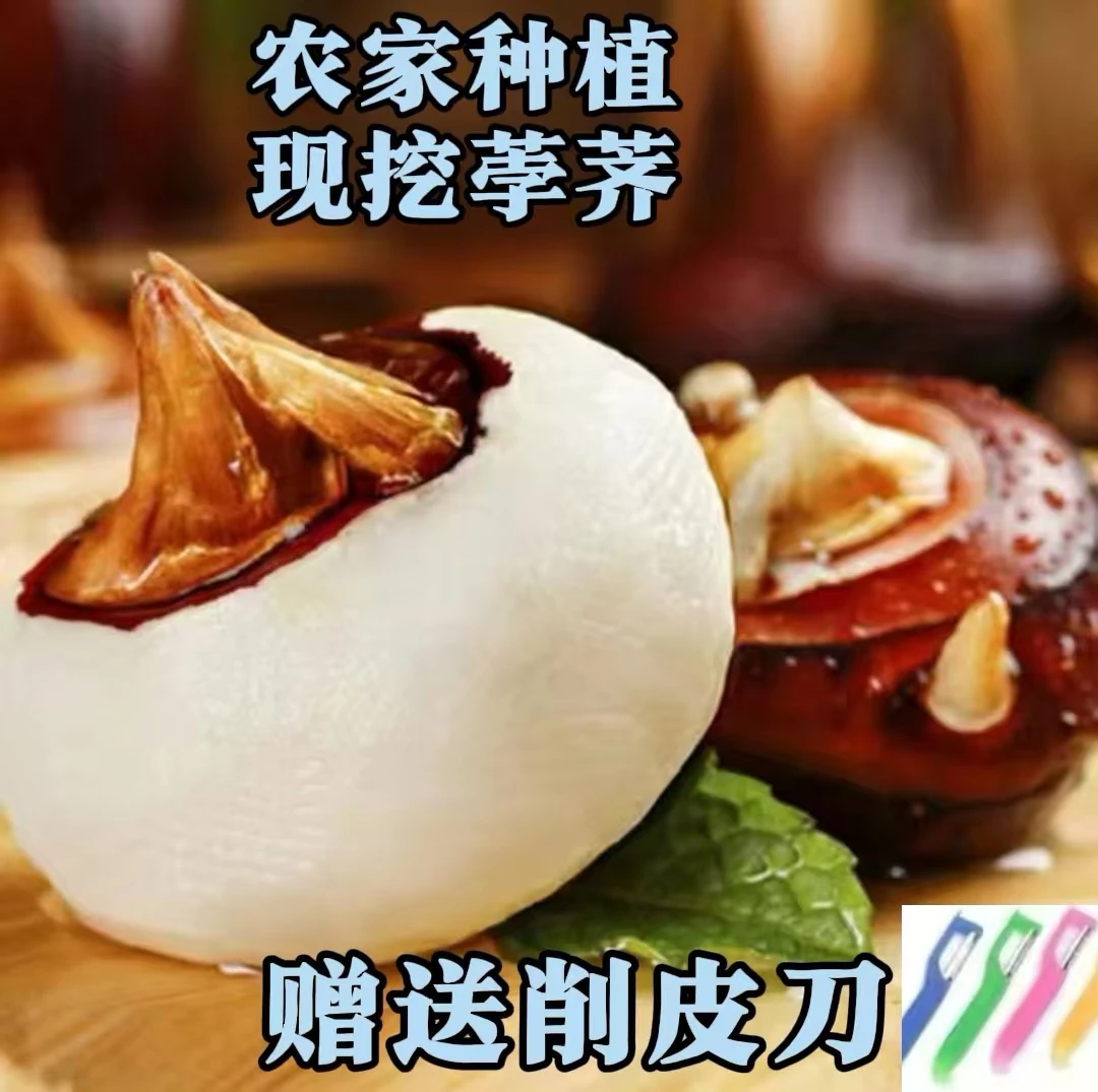 广西马蹄荸荠新鲜大果桂林农家种植产地直发水果马蹄荸荠脆甜多汁