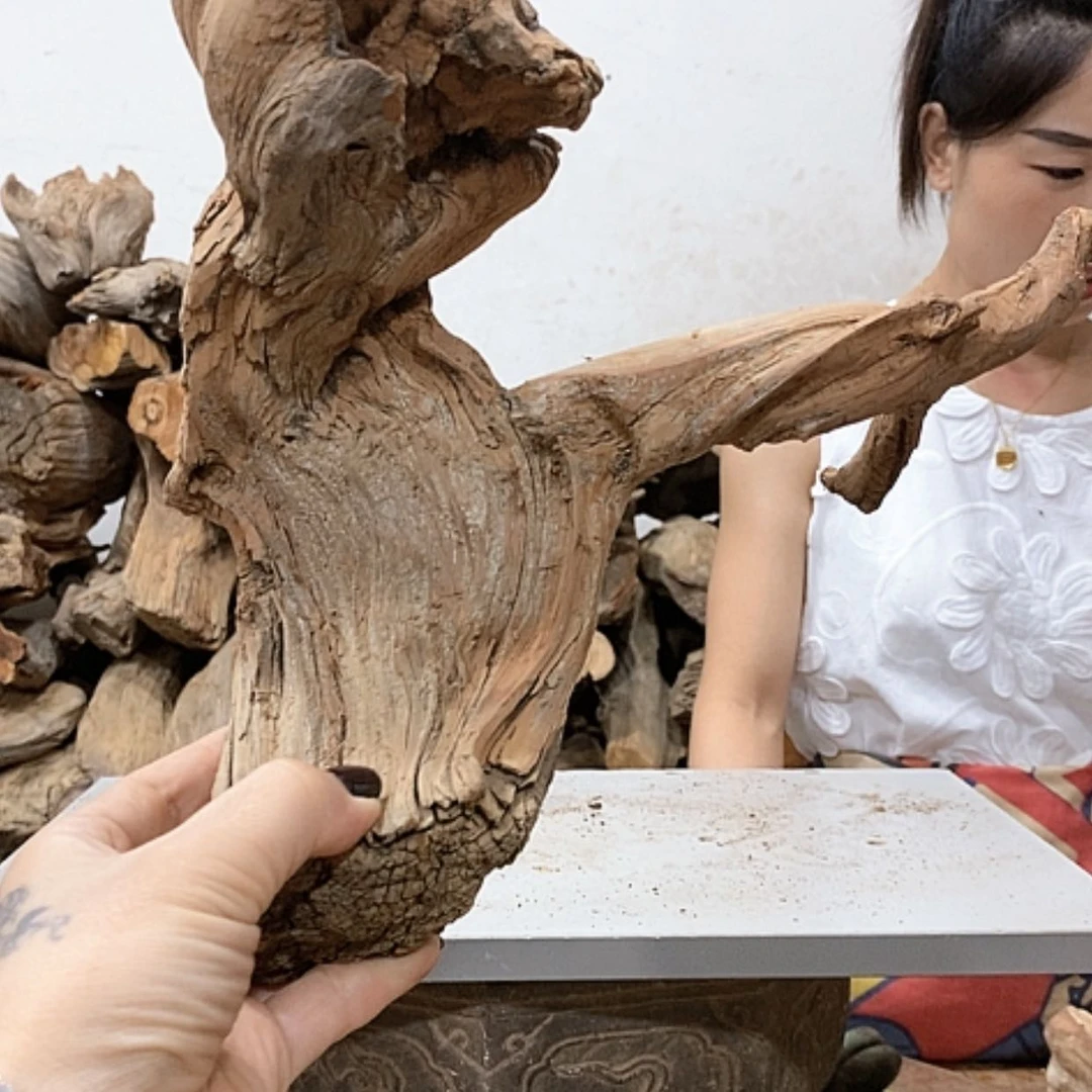 【闪购商品】柏木五*我们都是好孩子