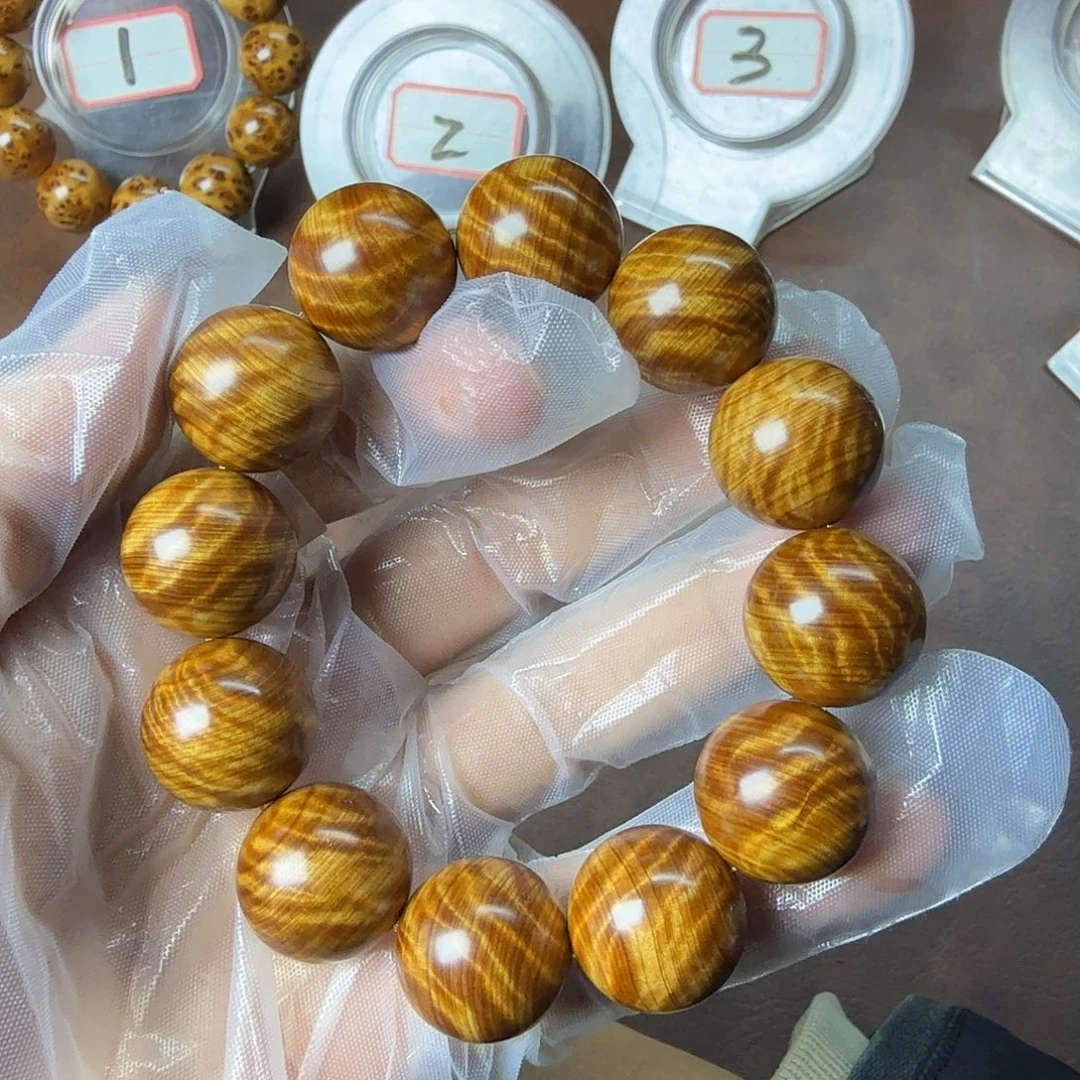 柏木（崖柏）2.0爆满黄金龙胆