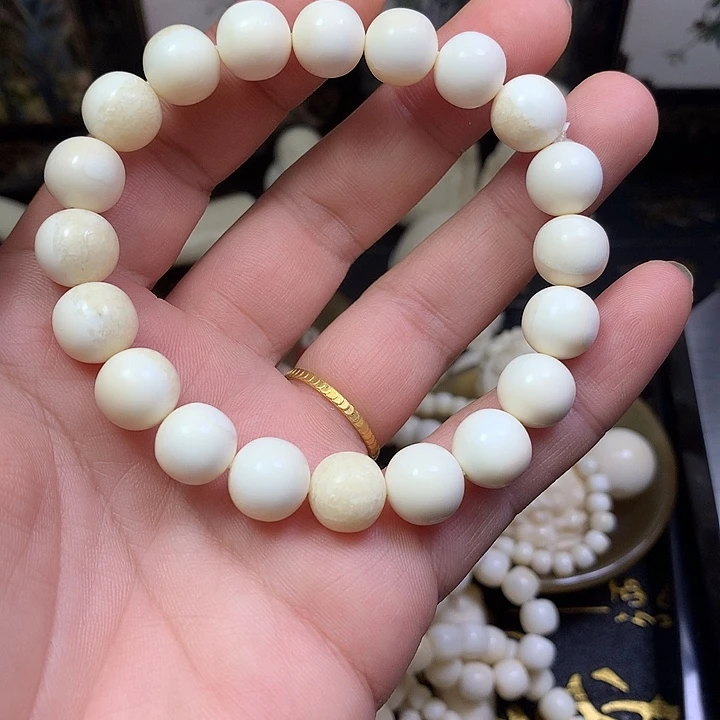 橄榄核手串/手链猛犸y11