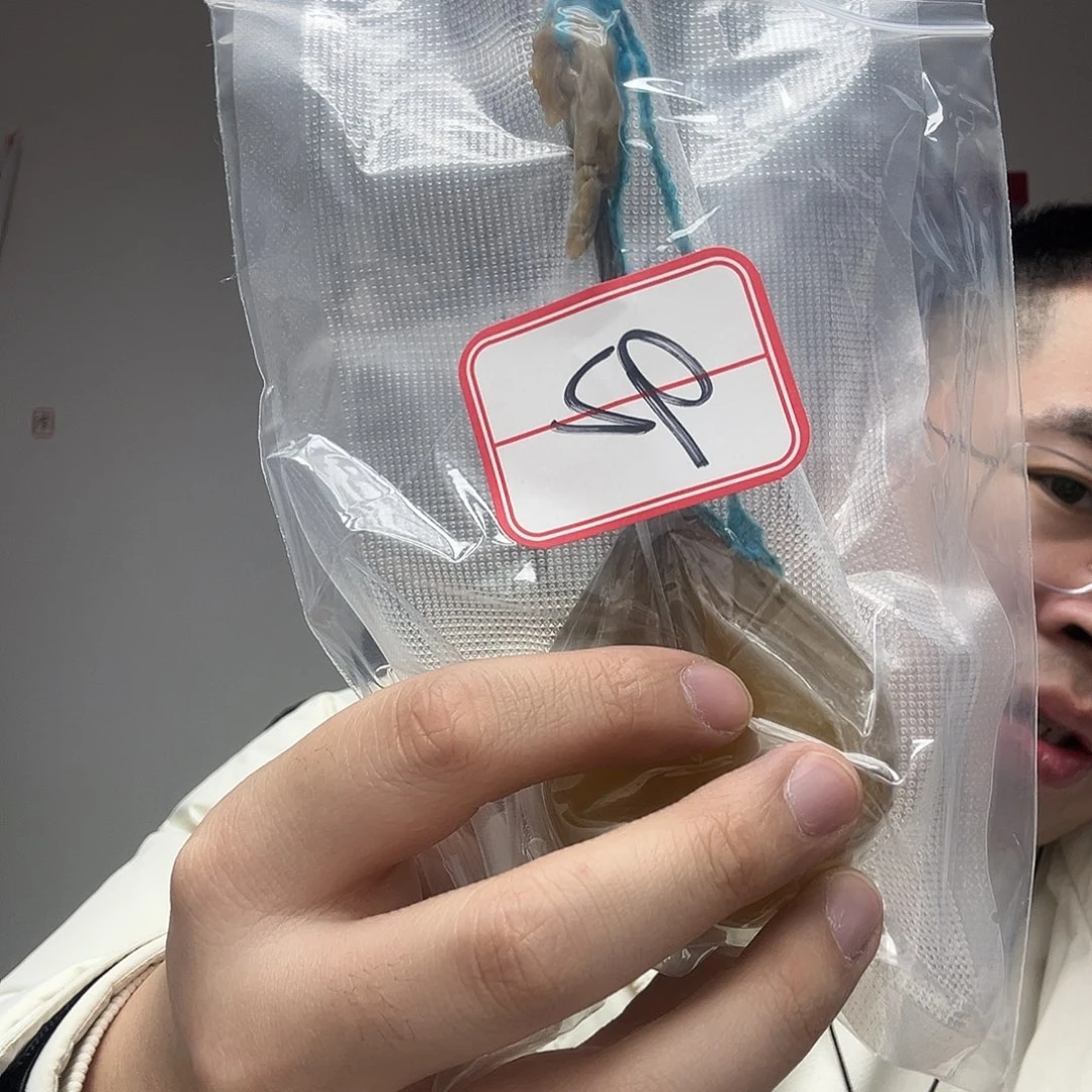 橄榄核手串/手链工艺品92