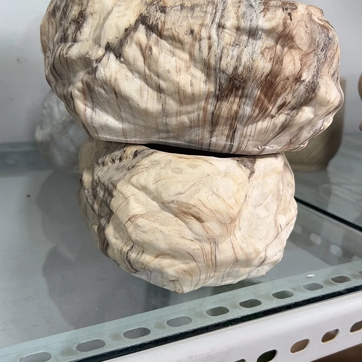 微瑕陶瓷花盆满9.9发