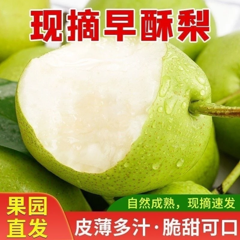 【头茬陕西蒲城早酥梨】F新鲜应季孕妇水果脆甜皮薄多汁现摘现发