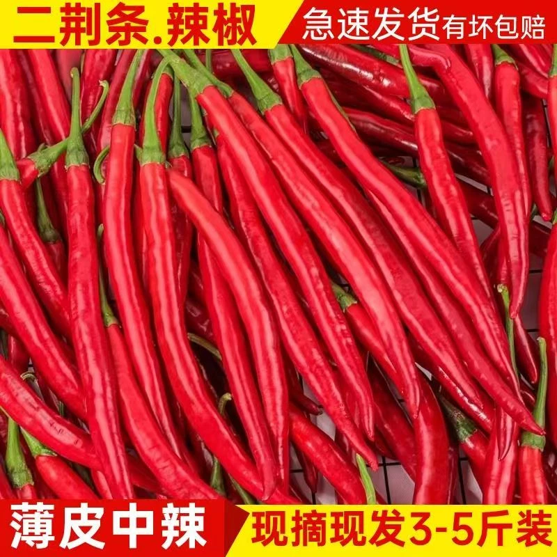 新鲜红线椒红二荆条红辣椒安徽红海椒红青椒新鲜蔬菜做剁椒辣椒酱