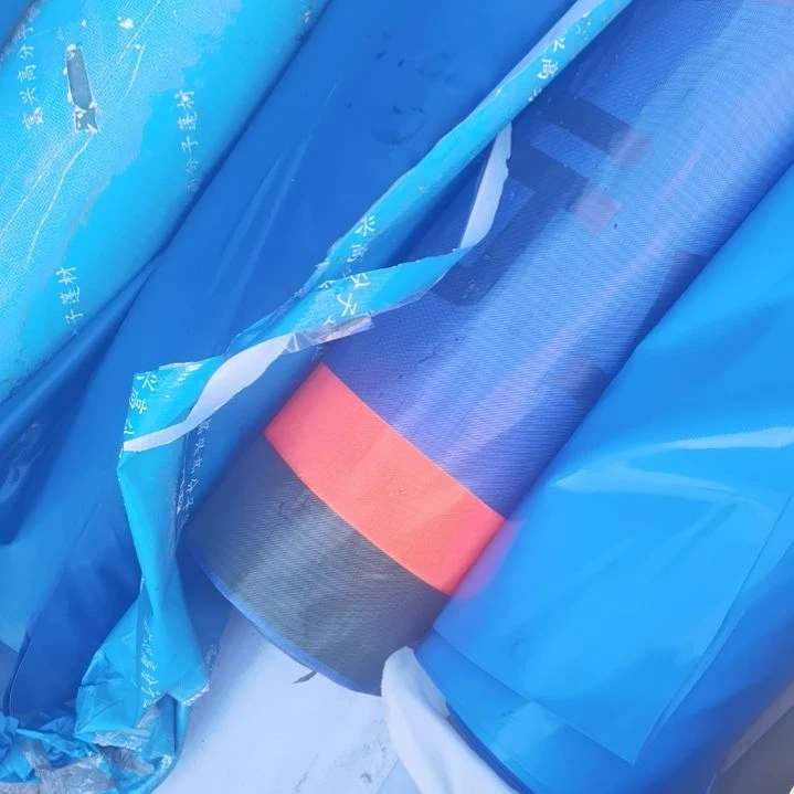 飞天金龙460克炫彩蓝天