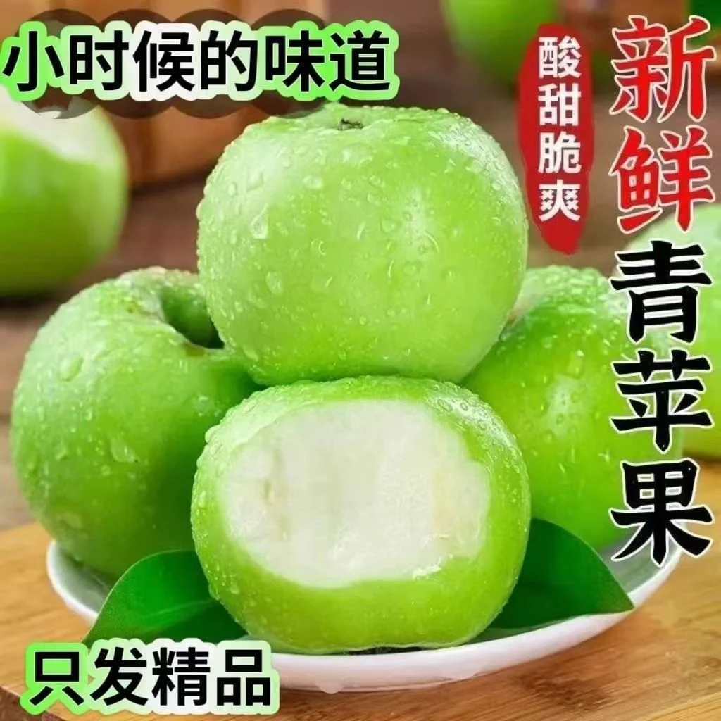 2025年头茬现摘新鲜青苹果酸甜脆爽酸苹果孕妈妈推荐水果网红水果