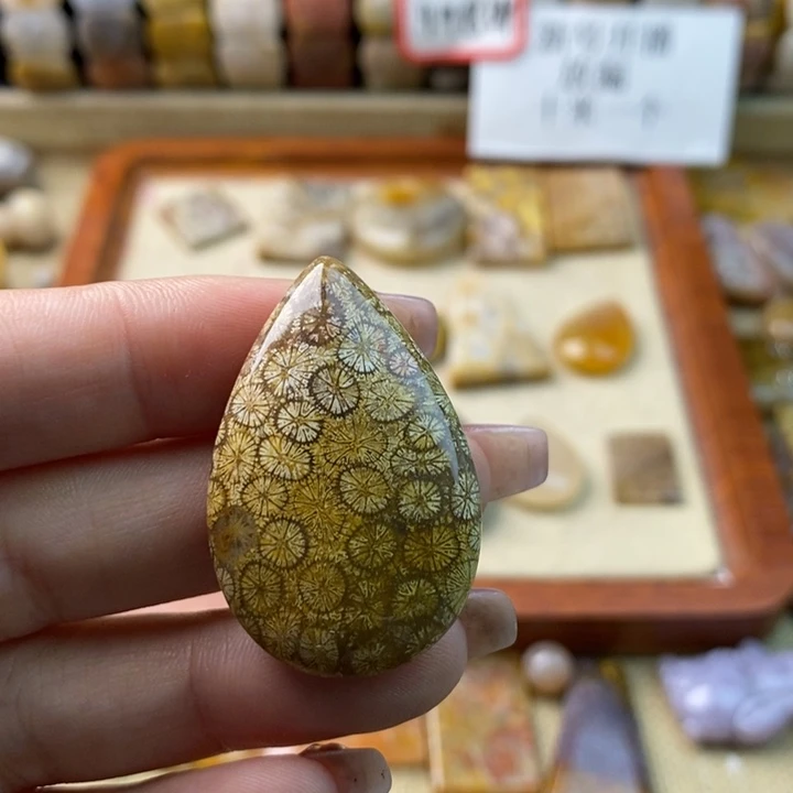 未镶嵌颈饰硅化玉