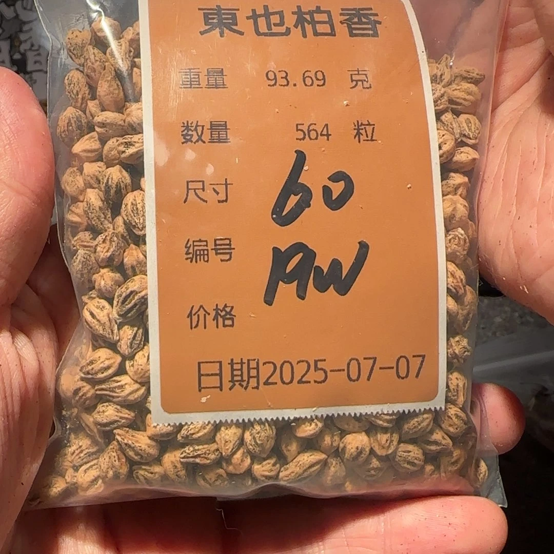 柏香籽/百香籽吊坠木**啾19w